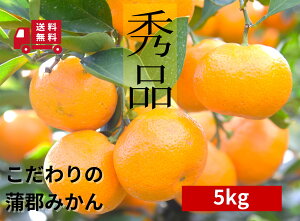 蒲郡みかん 「秀」 5kg 温州宮川みかん ご自宅用 おすそ分け用 プレゼント 贈り物 蒲郡 みかん 美味しいみかん おいしいミカン みかん5キロ ミカン5キロ おすそわけ 5キロ お取り寄せ みかん5kg秀品 秀品 温州 宮川 温州ミカン 温州みかん 甘いみかん 甘いミカン 甘い
