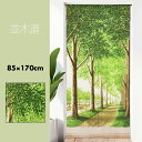 のれん おしゃれ カーテン 間仕切り