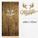 のれん 暖簾 おしゃれ カーテン 間