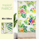 のれん おしゃれ カーテン 間仕切り