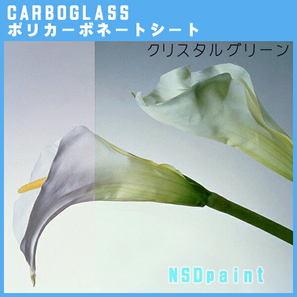 ポリカーボネート板 ポリッシュ クリスタルグリーン 5mm厚1000mm×2000mm 1枚カーボグラス【AGC】【送料無料】[法人/業者あてのみ]
