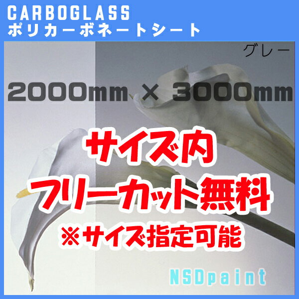 ݥꥫܥ͡ ݥå 졼 5mm2000mm3000mm 1[ѹǽ]ܥ饹AGC̵ۡ[ˡ...