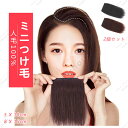 ミニつけ毛 エクステ 部分ウィッグ ヘアピース 人毛100% 増毛 薄毛 ポイントウィッグ 円形脱毛 ウィッグ かつら つけ毛 つむじ カバー 増毛 男性 女性...