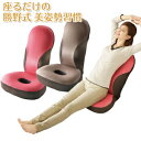 【在庫あり】美姿勢座椅子 【勝野式 美姿勢習慣 エクササイズレシピ付き】 ストレッチ座椅子 骨盤座椅子