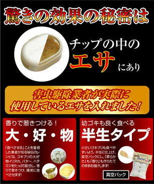 【ゴキちゃんグッバイプラス 5個セット】 ■送料無料■代引料無料■正規品■ ゴキブリ対策 ゴキブリ駆除 ゴキブリ退治 ゴキブリ撃退 ごきちゃんグッバイ ゴキチャングッバイ