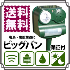 【在庫あり】【害鳥・害獣撃退ロボット ビッグバン BIGBANG-108】◆送料無料・代引料無料・保証付◆　ねこよけ　ねこ対策　猫対策 ネコ対策 イノシシや鹿などの野生動物対策に！　鳥対策　獣害対策
