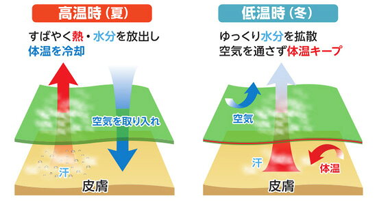 骨盤サポーター【送料無料】【整骨院の院長が考案した女性のための骨盤サポートパンツ】 レディース 骨盤用サポーター 腰用サポーター nst21-10043220 NSTショッピング サンプル画像3