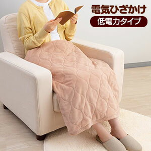 ���ڡ������ꡦ�ޥ��å��������ա���������̵���� ���󥱥� �ŵ��Ҥ�����(�����ϥ�����) ZR-05LR [�ػҥҡ����� �ۥåȥޥå� �ż����ɻ�]