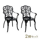 ガーデン家具【送料無料】【アルミ製アームチェア 「トルペ」 BKS-C5289-2P】
