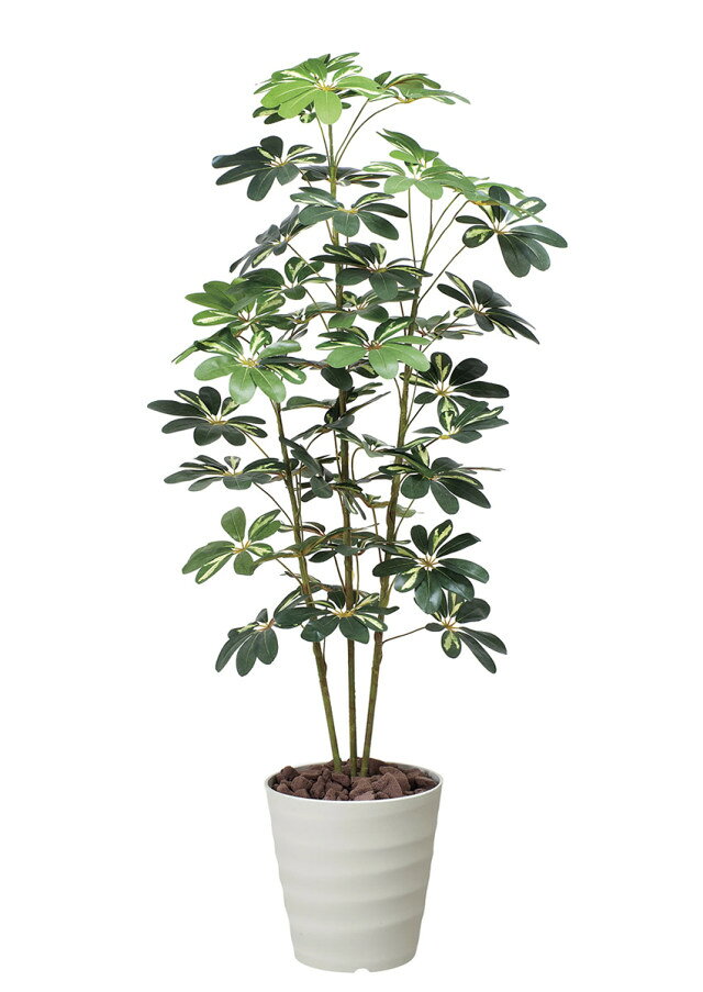 >>>光触媒 観葉植物シリーズはこちら 造花だから、水やり不要でずっと楽しめるインテリア。 室内空間の美しさを引き立たせるグリーンやフラワーは、インテリアの仕上げには欠かせないアイテムです。 光の楽園は水やりの必要がなく衛生面や周囲の環境により、 生の植物では適応できない場所でも比較的簡単に装飾できるのが魅力です。 消臭・抗菌効果のある、光触媒「V-CAT」を使用し、お部屋のインテリアや各種お祝いのギフト（プレゼント）として、 新築祝い・開店祝い・開業祝い・開院祝い・引越し祝い・母の日・敬老の日・誕生日など記念日の贈り物として人気があります。 造花（フェイクグリーン・フェイクフラワー）のメリット 造花は、水やりの必要がなく衛生面や周囲の環境により、 生の植物では適応できない場所でも比較的簡単に装飾できるのが魅力です。 設置してしまえば、その後のメンテナンスはほぼ不要。メンテナンスコストが大幅に削減できるので、ますます需要を高めています。 室内空間の美しさを引き立たせるフリーンやフラワーは、コーディネートの脇役的な存在に見られがちですが、インテリアの仕上げには欠かせないアイテムです。 造花の品質は年々進化しています。お部屋を手軽に華やかにするのにもっとも適した造花をあなたも取り入れませんか？ 生産国 日本 サイズ 約 幅60×奥行50×高さ150cm 4.4kg ※花や葉が広がった状態のサイズ（器も含めた高さ）です。 素材 ポリエステル、ポリエチレン 仕様 光触媒加工（V-CAT）、器：ポリプロピレン ご使用方法 葉の表面はさらさらな状態なためホコリ等が付着しても取りやすく、毛バタキや手でホコリを払ってください。 また濡れたタオルなどで軽く拭いても光触媒の機能は残ります。洗剤での洗浄は破損や脱色の恐れがあります。