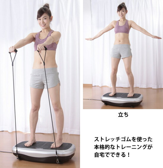 【在庫あり】ブルブル 振動マシン 【送料無料・保証付】【ライフフィットトレーナー FA001】 体幹トレーニング インナーマッスル トレーニング器具 フィットネスマシン ブルブルマシン