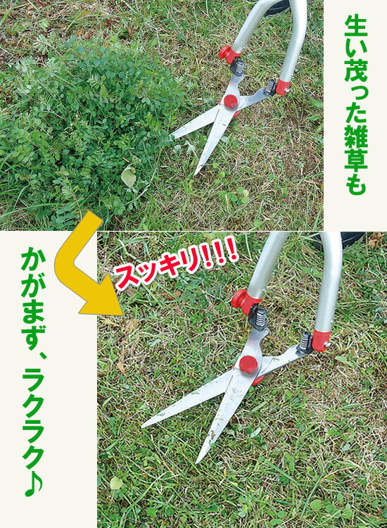 ＼ページ限定・マジッククロス付／　芝生・雑草刈り込みバサミセット a22470 【送...
