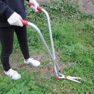 ＼ページ限定・マジッククロス付／　芝生・雑草刈り込みバサミセット a22470 【送料無料】 ［刈込みば..