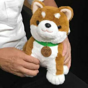 Rakuten - 音声認識ぬいぐるみ しばいぬコウタ バンダナ付きセット a28882 【送料無料】 ［音声認識 パートナー ぬいぐるみ ワンワン かわいい いやし 介護 おしゃべり わんこ 犬］