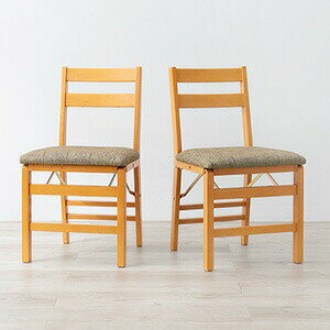 ＼ページ限定・マジッククロス付／ 折りたたみチェア 2脚セット VC-7598