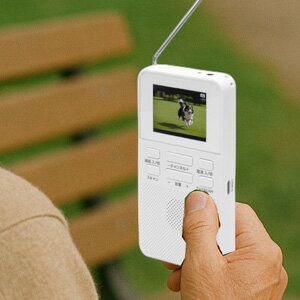 ＼ページ限定・マジッククロス付／ クマザキエイム 乾電池式ポケットワンセグTV&ラジオ WTR-20 【送料無料】 ［小型テレビ ワンセグTV 乾電池式]