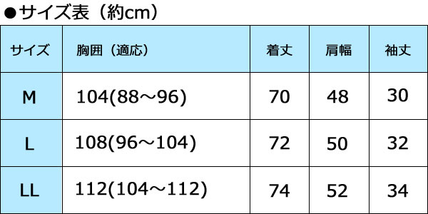 ＼ページ限定・マジッククロス付／　メンズポロシャツ 春夏秋 【送料無料】【スタンド襟5分袖シャツ同サイズ3色組】 ハーフジップアップポロシャツ シニア 男性用 nst21-10052793 NSTショッピング サンプル画像3