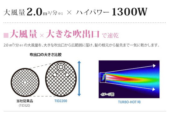 【在庫あり】＼ページ限定・マジッククロス付／　大風量ヘアドライヤー 【テスコム プロテクトイオンヘアードライヤー TID2200】 速乾 静電気防止 マイナスイオン