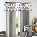 J[e ՌJ[e 2{q_ Ռ1 ՔM ۉ ƂG̃I[_[J[e h[vJ[e 210cm`300cm 222cm`240cmyJ[ezcurtain