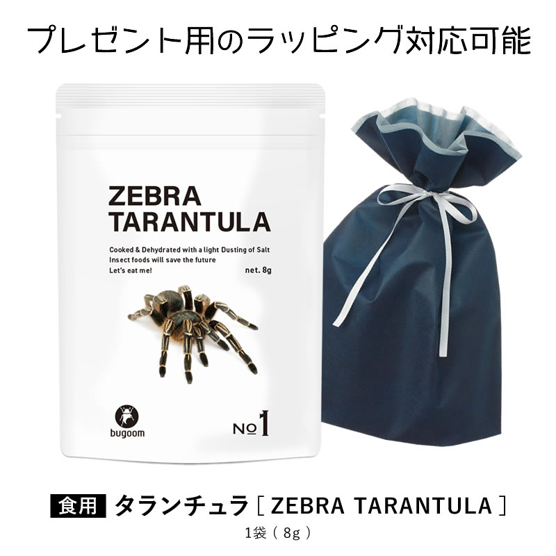 昆虫食を味わう 食用 タランチュラ 見た目のインパクト抜群！ bugoom（バグーム） 美味しく食べられる虫シリーズ　ZEBRA TARANTULA【No.1】net.8g【プレゼントにも♪】のサムネイル