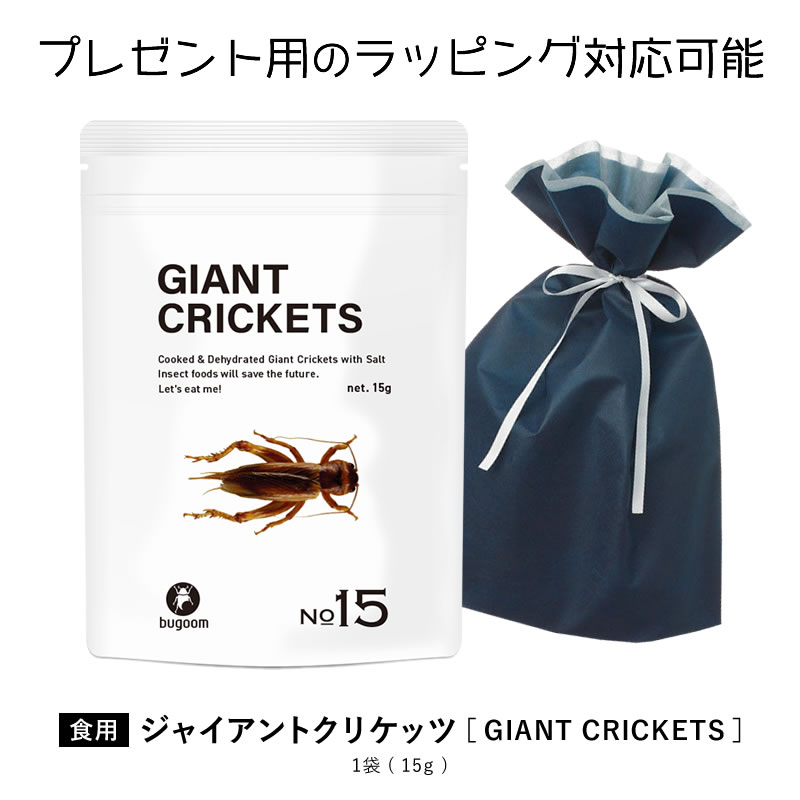 昆虫食を味わう 食用 タイワンオオコロギ 大きな食用コオロギ bugoom（バグーム）美味しく食べられる虫シリーズ GIANT CRICKETS【No.15】net.15g【プレゼントにも♪】のサムネイル