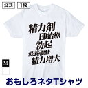 おもしろ 男の 漢字 Tシャツ【 精力