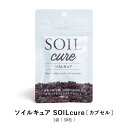 ソイルキュア カプセル 30粒 菌活 大豆 発酵 健康 美容 に必要な菌群がバランスよく入ってスッキリをサポート!【1袋 30粒入 約30日分】