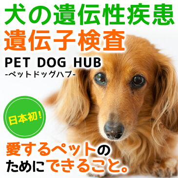 【送料無料】犬の遺伝性疾患遺伝子検査キット「PET DOG HUB-ペットドッグハブ-」愛犬のために知っておきたい 遺伝性疾患のこと 医師のアドバイス付き! 安心の国内検査♪