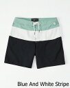 Abercrombie＆Fitch (アバクロンビー＆フィッチ) ライナー 裏地付き ストレッチ ボードショーツ (水着) (Classic Boardshorts) メンズ (Blue And White Stripe) 新品 (Mid-Length)