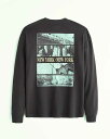 Abercrombie＆Fitch (アバクロンビー＆フィッチ) 正規品 リラックス イマジナリーロゴバックプリント 長袖Tシャツ (ロンT) (Relaxed Long-Sleeve Imagery Logo Tee) メンズ (Dark Grey) 新品 (softA&F)