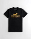 ホリスター 服 メンズ HOLLISTER Co. (ホリスター) HOLLISTERスポーツニット ロゴグラフィックTシャツ(Hollister Sport Knit Logo Graphic Tee) メンズ (Black) 新品