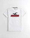 ホリスター 服 メンズ HOLLISTER Co. (ホリスター) HOLLISTERスポーツニット ロゴグラフィックTシャツ(Hollister Sport Knit Logo Graphic Tee) メンズ (White) 新品