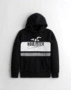 HOLLISTER Co. (zX^[) SOtBbN vI[o[ p[J[ (Logo Graphic Hoodie) Y (Black) Vi