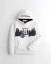 HOLLISTER Co. (zX^[) SOtBbN vI[o[ p[J[ (Logo Graphic Hoodie) Y (White) Vi