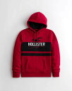 HOLLISTER Co. (zX^[) SOtBbN vI[o[ p[J[ (Logo Graphic Hoodie) Y (Red) Vi