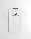 HOLLISTER Co. (ホリスター) ロゴグラフィックTシャツ(Logo Graphic Tee) メンズ (White) 新品