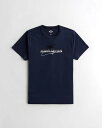 HOLLISTER Co. (ホリスター) ロゴグラフィックTシャツ(Logo Graphic Tee) メンズ (Navy) 新品