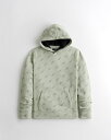 [4/16 全商品ポイント10倍］HOLLISTER Co. (ホリスター) ロゴグラフィックプリント プルオーバー パーカー (Print Graphic Logo Hoodie) メンズ (Green Print) 新品