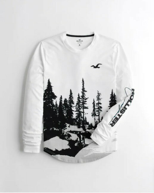 HOLLISTER Co. (ホリスター) カーブヘム グラフィック ロンT(長袖) (Long-Sleeve Logo Graphic Tee) メンズ (White) 新品