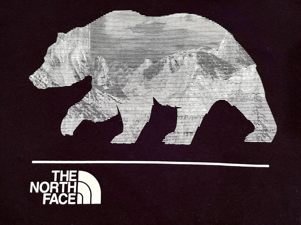 The North Face (ザ・ノースフェイス) パーカー プルオーバー スウエット フーディー ベアープリント 裏起毛 (EVOLUTION MNT BEAR HOODIE)メンズ (Black) 新品 EU/USAモデル