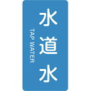 JISzǎʖXebJ[(^e) (p\L) () 101Zbg 385207@185291