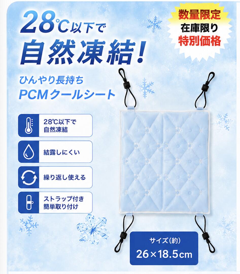 3WAYクールシート 28℃自然凍結 熱中症対策 冷感 枕 アウトドア 18.5×26cm ストラップ付き 熱中症対策 ベビーカー リュック 背中 冷感マット