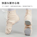 【送料無料】レディース チアダンス ダンススニーカー ヒップホップ ジャズシューズ 6色選べる ダンスシューズ ジャズダンスシューズ