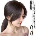 【送料無料】頭頂部 女性 斜め分け ミディアム ショート 傾き前髪 人毛 レディース ヘアピース かつら 自然 前髪 部分ウィッグ ウィッグ