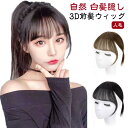 【送料無料】自然 つけ毛 エステンション 部分ウィック ポイントウィッグ 3D構造つむじ付きシースルーバング 人毛 シルクトップ工芸