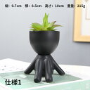 【送料無料】プレゼント 卓上 ガーデニング ミニプランター かわいい おしゃれ 多肉植物 観葉植物 植木鉢 ミニサボテン 多肉植物プランター