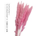 【送料無料】インテリア 庭・鉢・切花 花束 15個入り パンパスグラスセット ドライフラワー