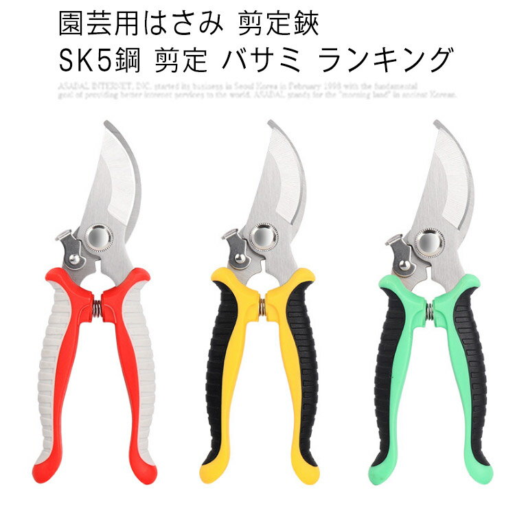 ̵۴ߤФ ѥʥ Ф ߺƻ  ̼ 󥭥 Х  SK5  Ѥ...