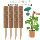 【送料無料】植物 観葉植物 連結 園芸支柱 ポトス ココナッツ ココスティック 【4本入り】10点セット 支柱 植物サポート ガーデン