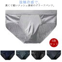 【送料無料】ローライズ 通気製 快適 下着 肌着 3D立体 蒸れない 男性 ショーツ 接触冷感 浅め ブリーフパンツ 5枚セット メンズ メッシュ